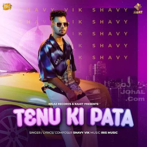 Tenu Ki Pata Shavy Vik Mp3 Song Download