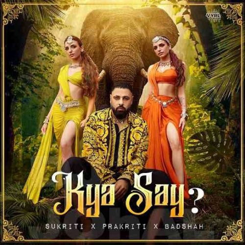 Kya Say Sukriti Kakar, Badshah new mp3 song free download, Kya Say Sukriti Kakar, Badshah full album