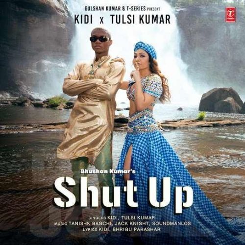 Shut Up Tulsi Kumar, KiDi Mp3 Song Download
