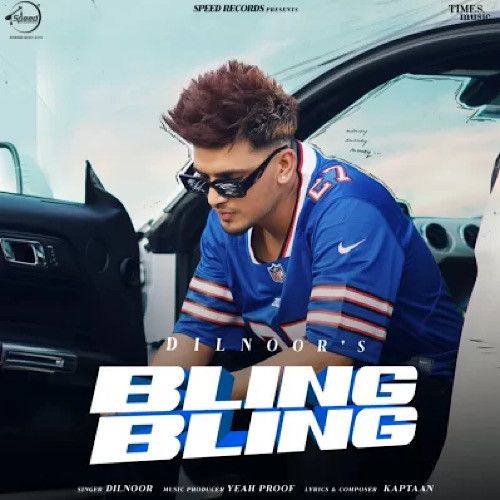 Bling Bling Dilnoor Mp3 Song Download
