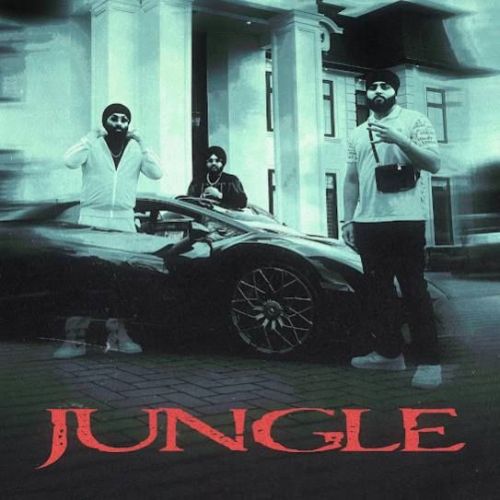 Jungle Inderpal Moga, Chani Nattan Mp3 Song Download
