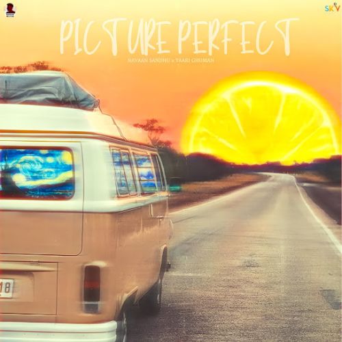 Picture Perfect Navaan Sandhu Mp3 Song Download