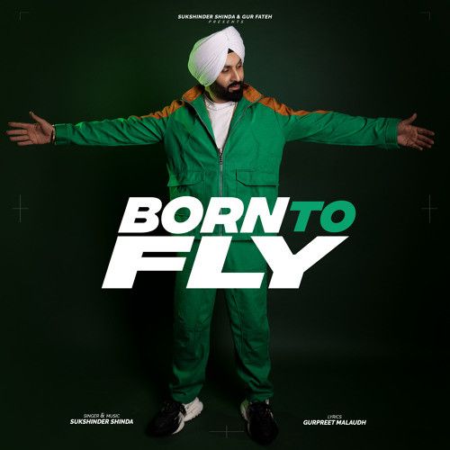 Born To Fly Sukshinder Shinda Mp3 Song Download