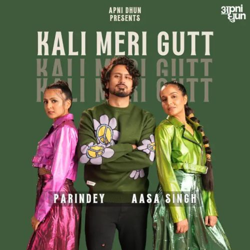 Kali Meri Gutt Parindey, Aasa Singh Mp3 Song Download
