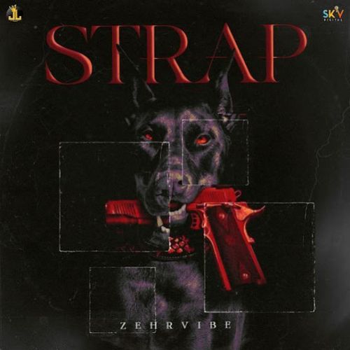 STRAP Zehr Vibe Mp3 Song Download