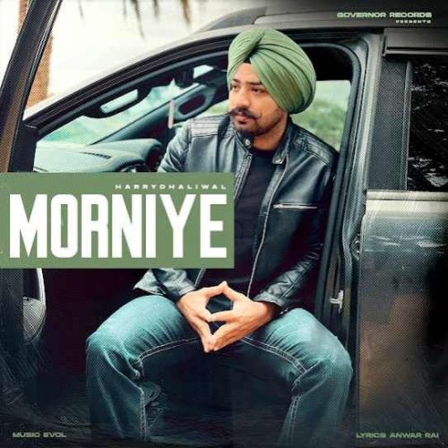 Morniye Harry Dhaliwal Mp3 Song Download DjPunjab Download