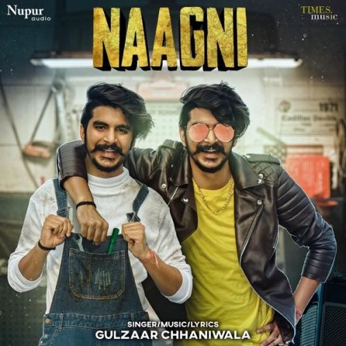 Naagni Gulzaar Chhaniwala Mp3 Song Download