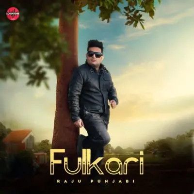 Fulkari Raju Punjabi Mp3 Song Download